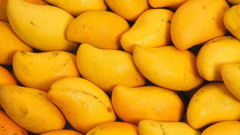 benefits of mango sexually. benefits of mango leaves sexually